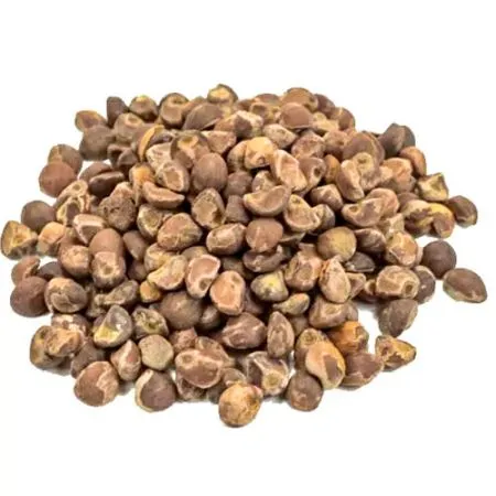 Havajská růže (Argyreia nervosa)
